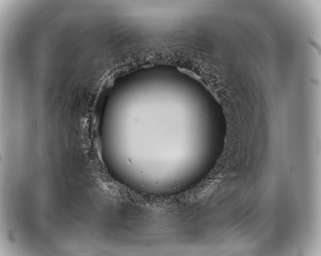 X0000098020144200803281342