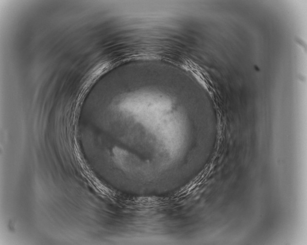 X0000098020145200803281341