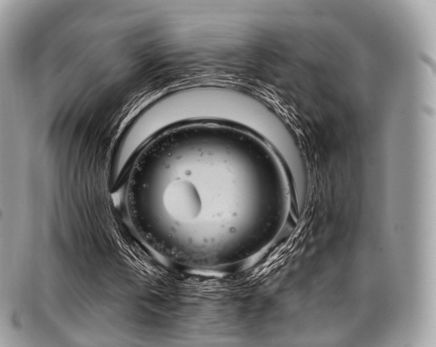 X0000098020146200803281341