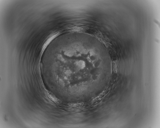 X0000098020147200803281341