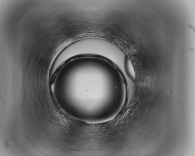 X0000098020148200803281341