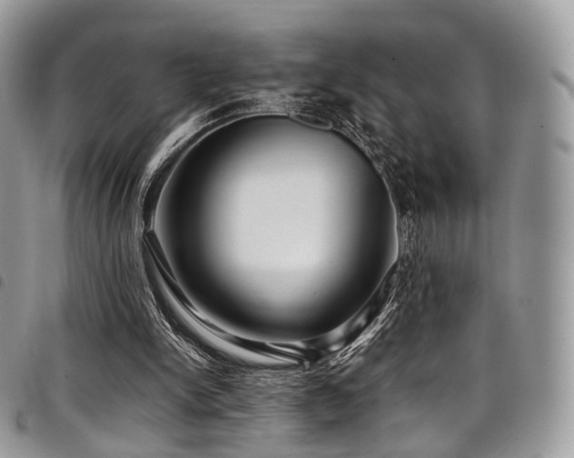 X0000098020150200803281341