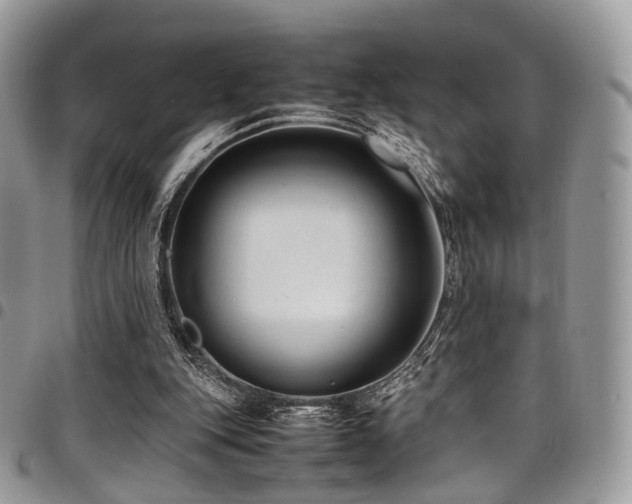 X0000098020151200803281341