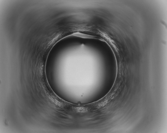 X0000098020153200803281341