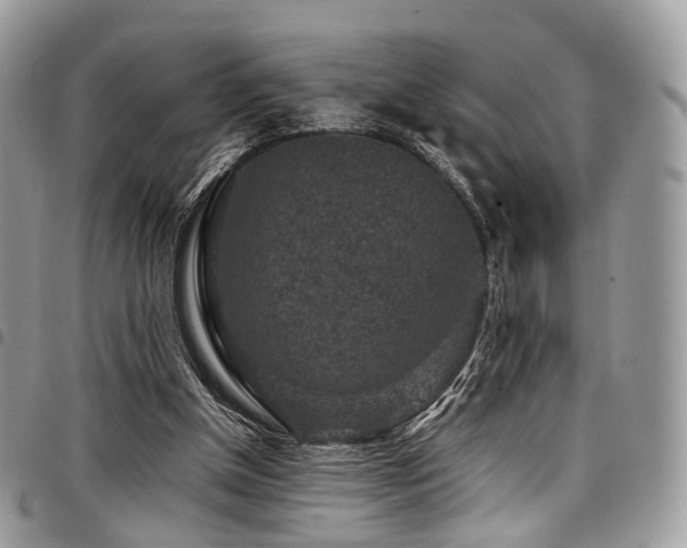 X0000098020154200803281342