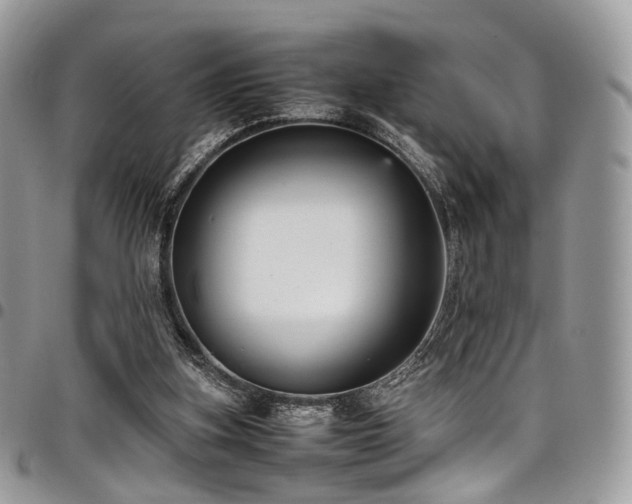 X0000098020155200803281342