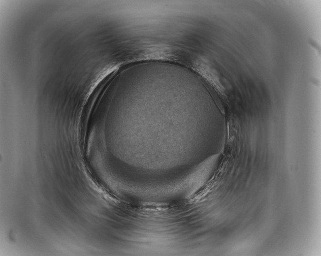 X0000098020156200803281342