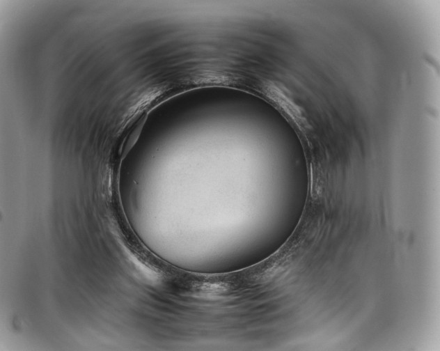 X0000098020157200803281342