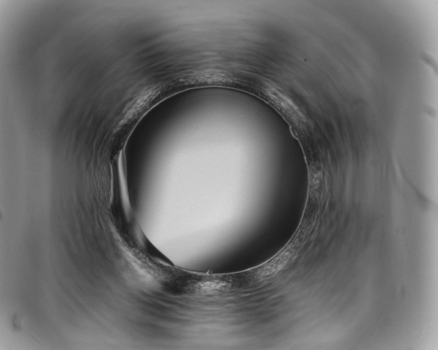 X0000098020158200803281342