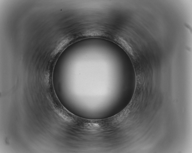 X0000098020159200803281342