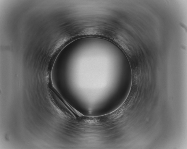 X0000098020160200803281342