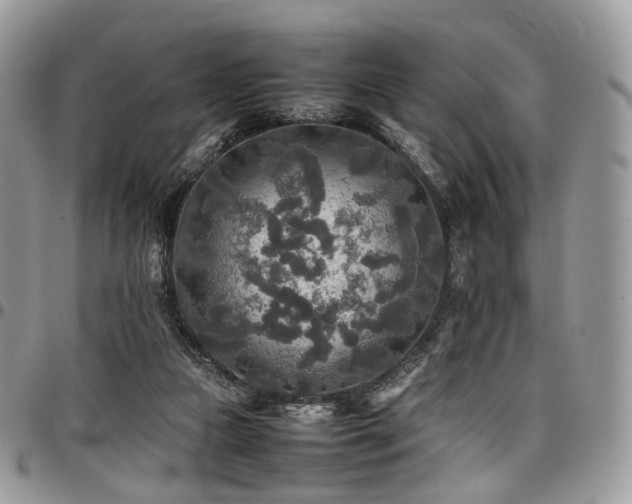 X0000098020161200803281342