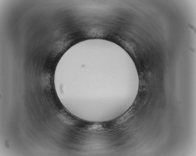 X0000098020162200803281342