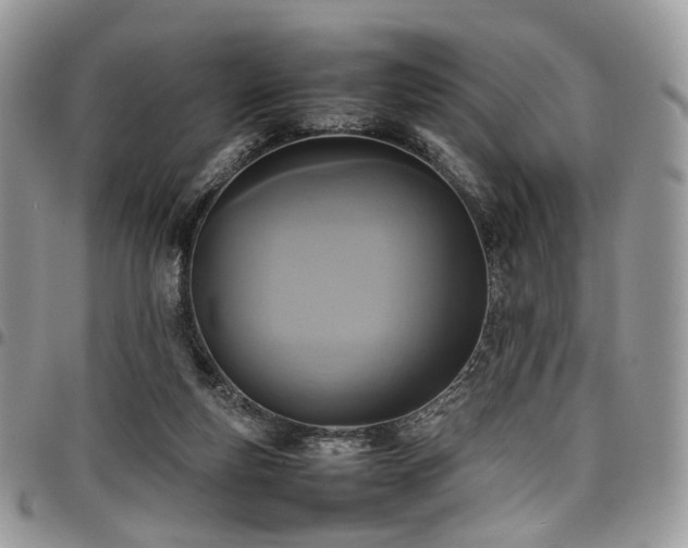 X0000098020163200803281342