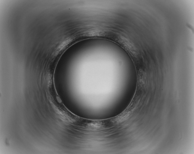 X0000098020164200803281342