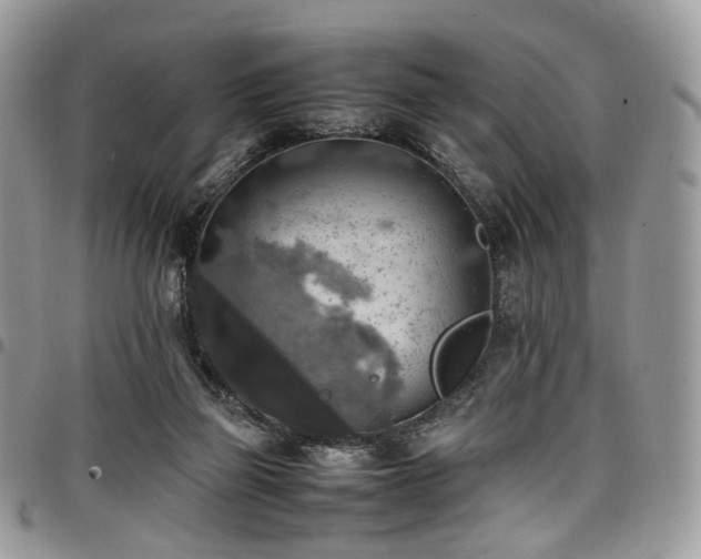 X0000098020165200803281342