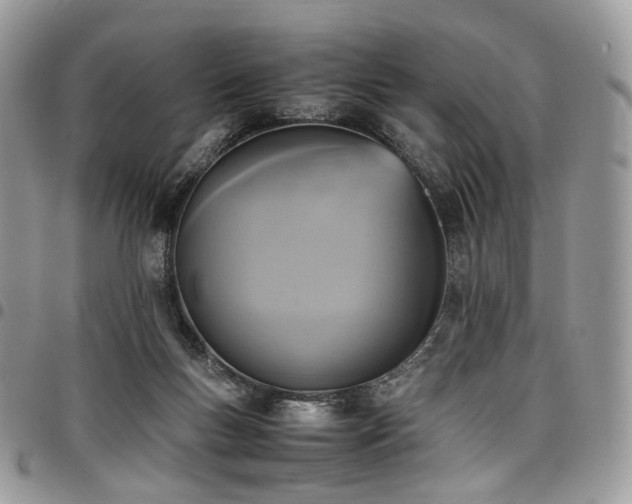 X0000098020167200803281342