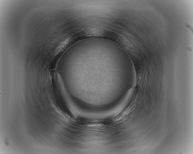 X0000098020168200803281342