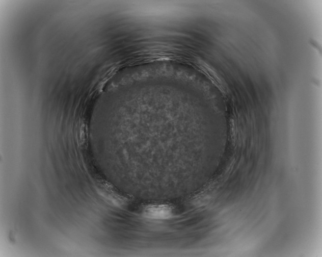 X0000098020169200803281342