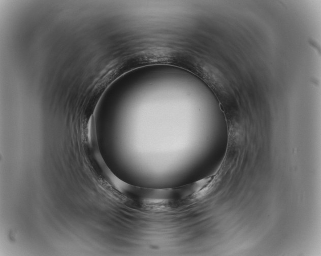 X0000098020170200803281342