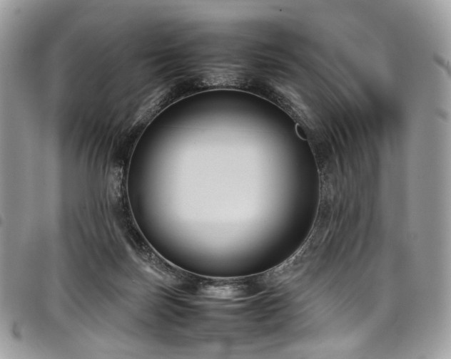 X0000098020171200803281342