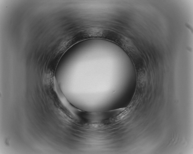 X0000098020172200803281342