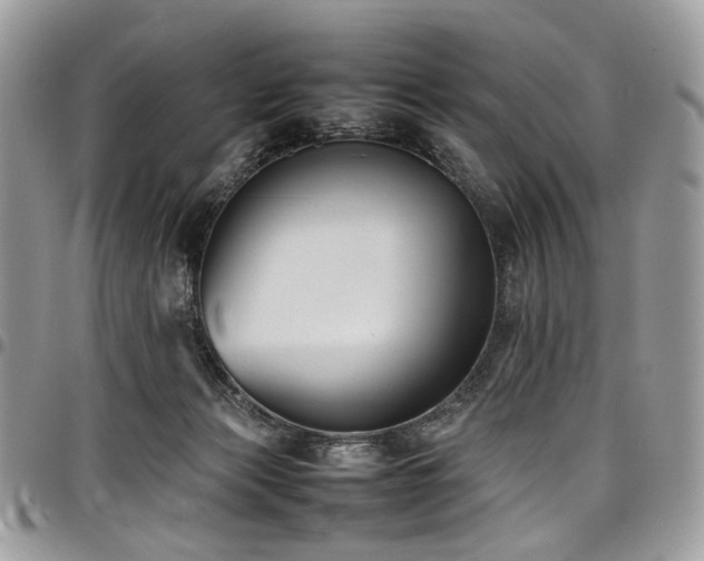 X0000098020173200803281342