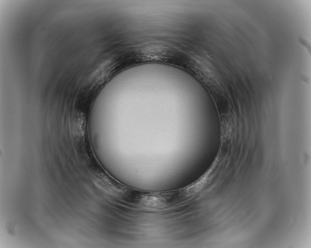 X0000098020174200803281342