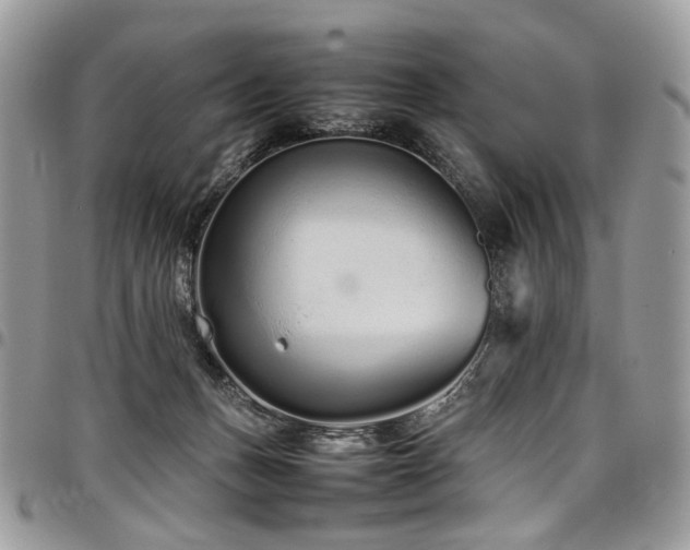 X0000098020175200803281342