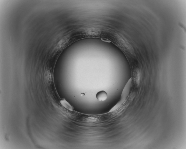 X0000098020176200803281342