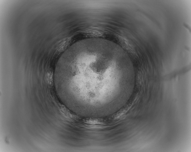 X0000098020177200803281342