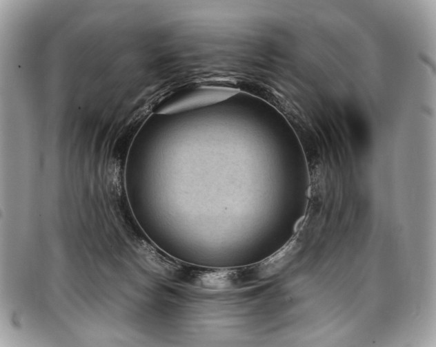 X0000098020178200803281342