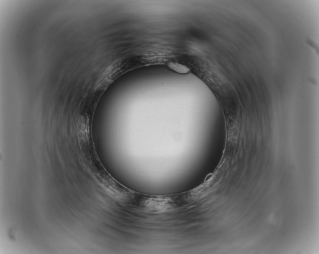 X0000098020179200803281342