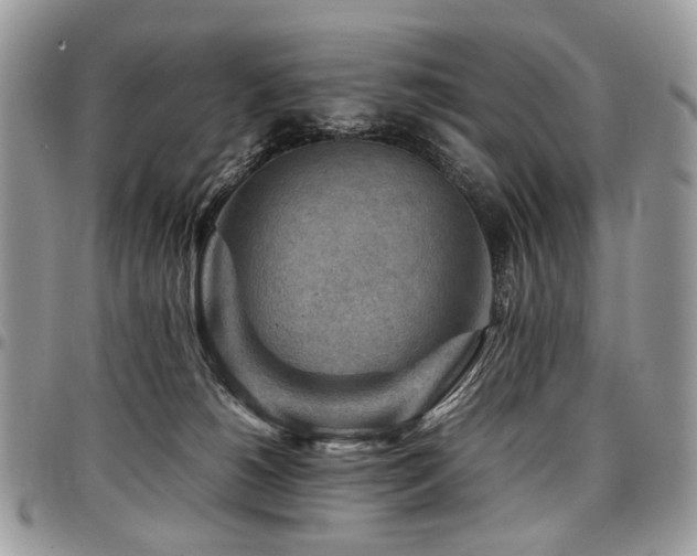 X0000098020180200803281342