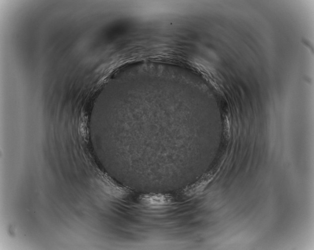 X0000098020181200803281342