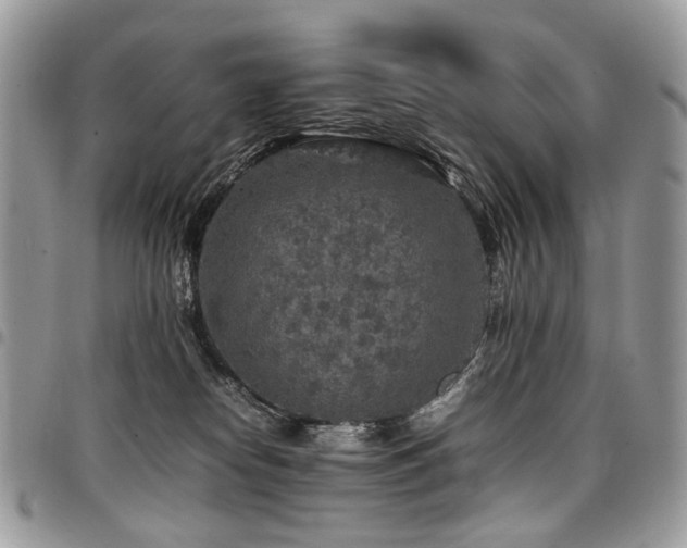 X0000098020182200803281342