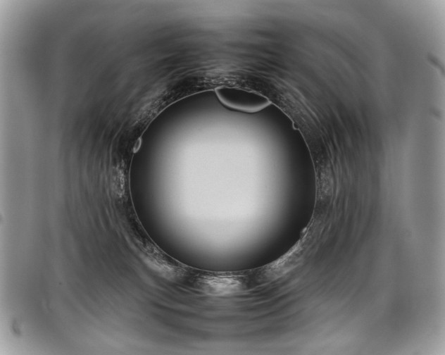 X0000098020183200803281342