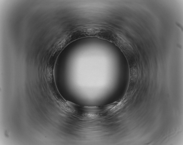 X0000098020184200803281342