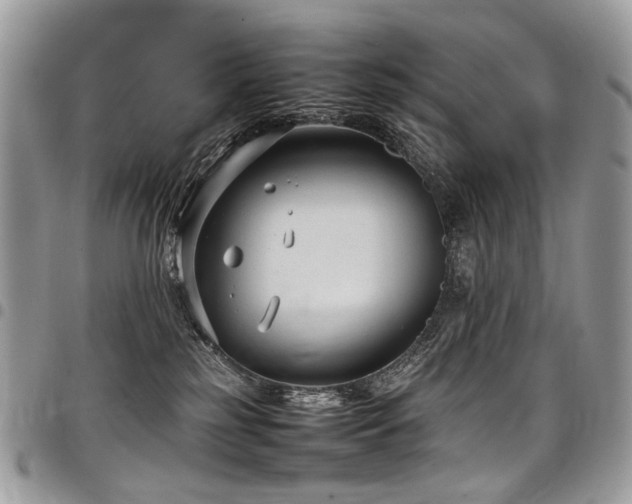 X0000098020185200803281342