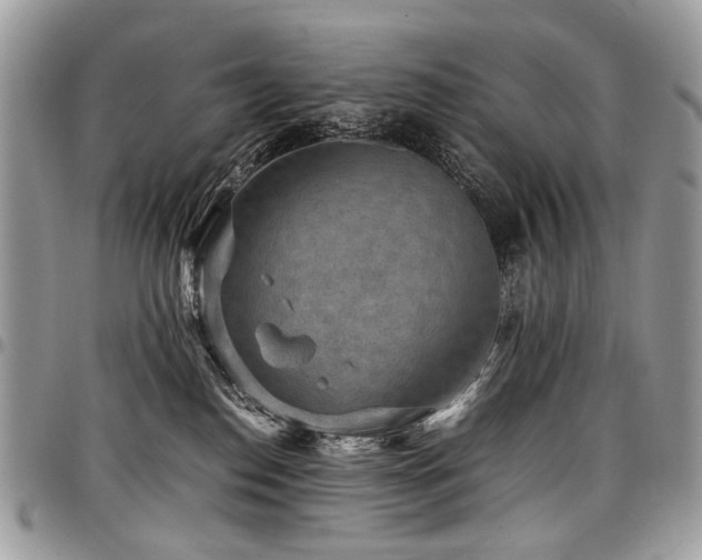 X0000098020186200803281342