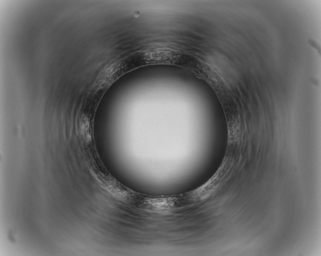 X0000098020187200803281342