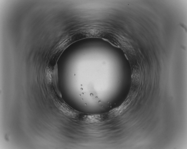 X0000098020188200803281342