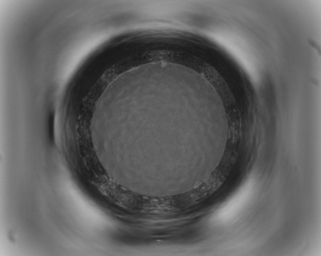 X0000098020189200803281342