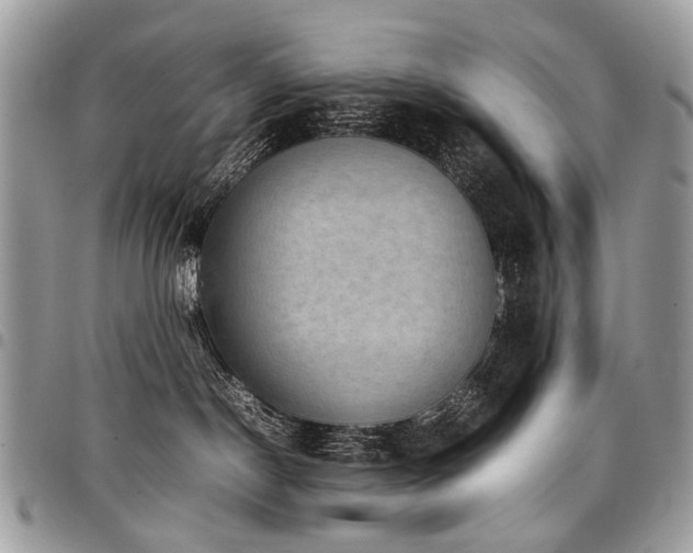 X0000098020190200803281342