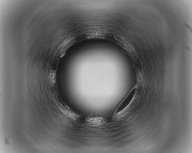 X0000098020191200803281342