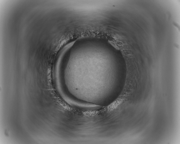 X0000098020192200803281342