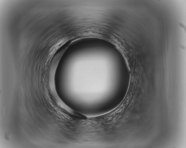 X0000098020193200803281341