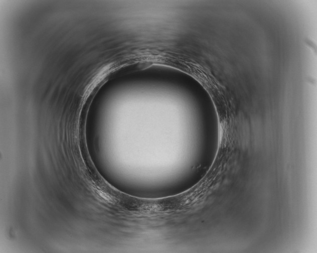 X0000098020195200803281341