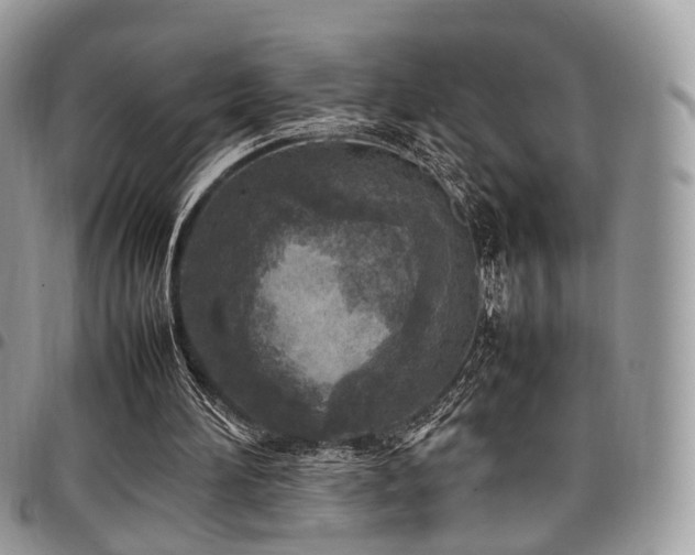 X0000098020196200803281341