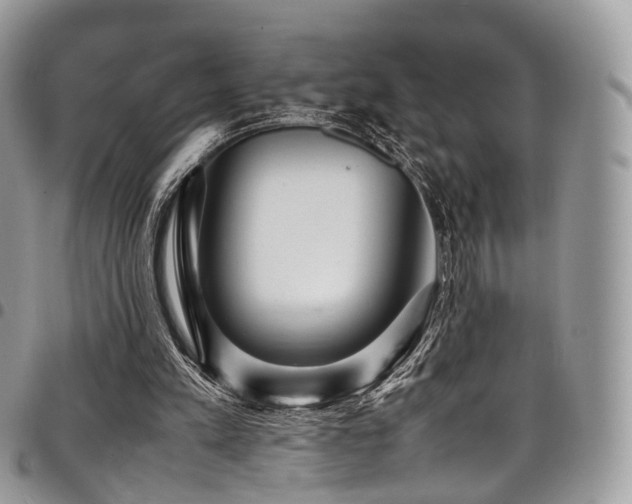 X0000098020197200803281341